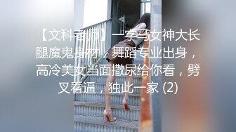 【文科老师】一字马女神大长腿魔鬼身材，舞蹈专业出身，高冷美女当面撒尿给你看，劈叉看逼，独此一家 (2)