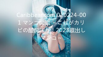 Caribbeancom 010224-001 マンコ図鑑 ～これがカリビの醍醐味だ！2023蔵出しマンコ～