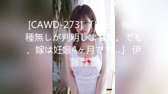 [CAWD-273] 「昨日、俺の種無しが判明しました。でも、嫁は妊娠4ヶ月です…」 伊藤舞雪