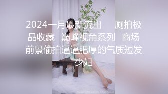 2024一月最新流出❤️厕拍极品收藏⭐巅峰视角系列⭐商场前景偷拍逼逼肥厚的气质短发少妇