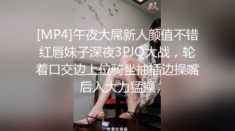 [MP4]午夜大屌新人颜值不错红唇妹子深夜3PJQ大战，轮着口交边上位骑坐抽插边操嘴后入大力猛操