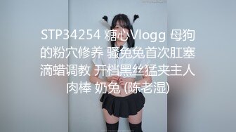 STP34254 糖心Vlogg 母狗的粉穴修养 骚兔兔首次肛塞滴蜡调教 开档黑丝猛夹主人肉棒 奶兔 (陈老湿)