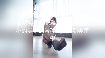 [MP4/ 1.22G]&nbsp;&nbsp;纹身小伙2500约炮身材娇小的美少妇各种姿势干到爽歪歪