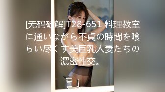 [无码破解]T28-651 料理教室に通いながら不貞の時間を喰らい尽くす美巨乳人妻たちの濃密性交。