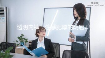 透明内裤，性感肥厚的阴唇2