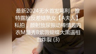 最新2024无水首发福利，推特露脸反差婊熟女【A夫人】私拍，颜射放尿振动棒情趣内衣M腿秀B紫薇蝴蝶大黑逼相当炸裂 (3)