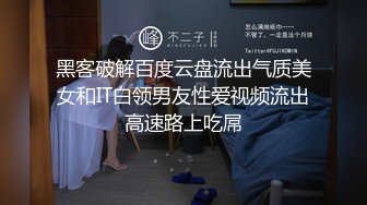 黑客破解百度云盘流出气质美女和IT白领男友性爱视频流出高速路上吃屌