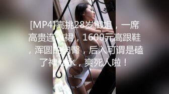 [MP4]高挑28岁御姐，一席高贵连衣裙，1600元高跟鞋，浑圆的肉臀，后入可谓是磕了神仙水，爽死人啦！