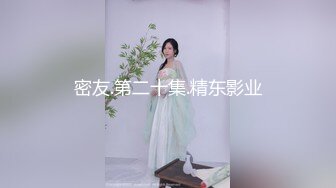 密友.第二十集.精东影业