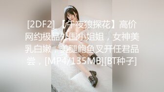 [2DF2] 【午夜狼探花】高价网约极品外围小姐姐，女神美乳白嫩，美腿鲍鱼叉开任君品尝，[MP4/135MB][BT种子]