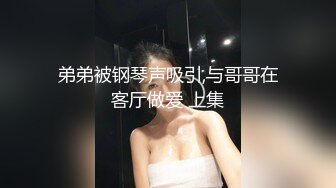 弟弟被钢琴声吸引,与哥哥在客厅做爱 上集